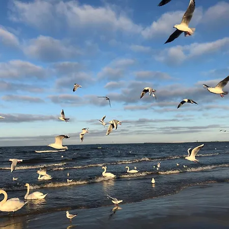 Grunwaldzka Apartament