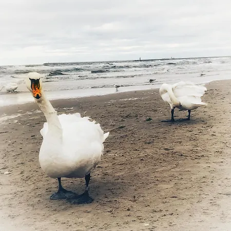 Grunwaldzka * Świnoujście