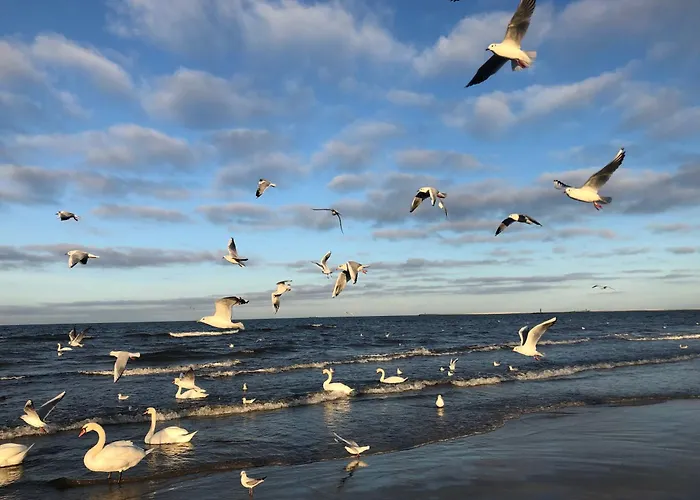 Grunwaldzka Апартаменты